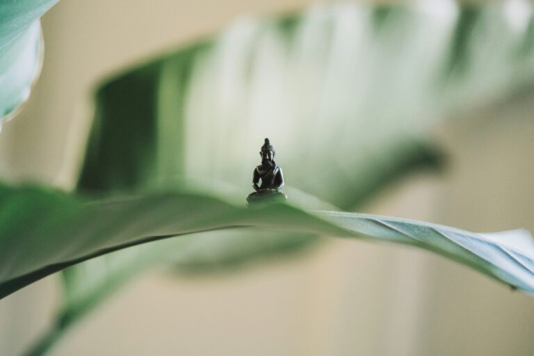 yoga piccolo buddha filosofia origini